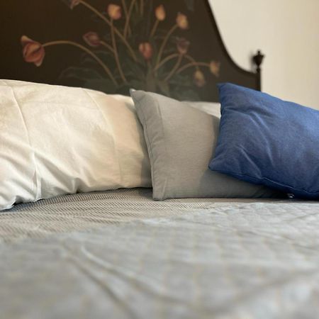 Agriturismo Il Campagnino Cremona Ngoại thất bức ảnh