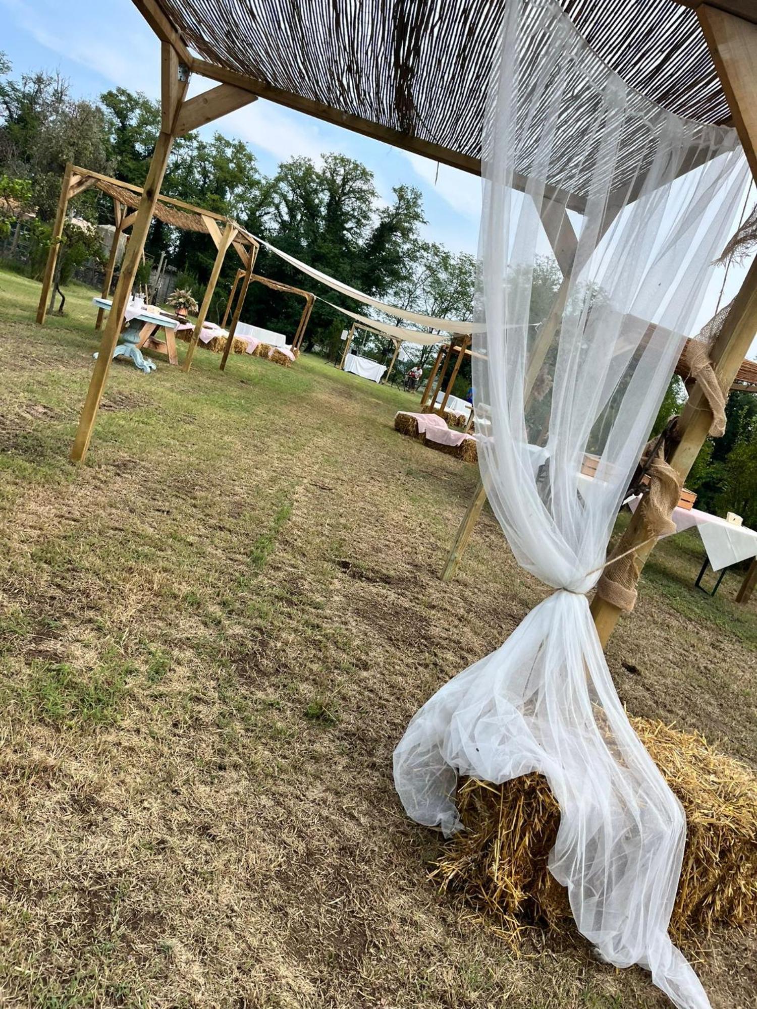 Agriturismo Il Campagnino Cremona Ngoại thất bức ảnh