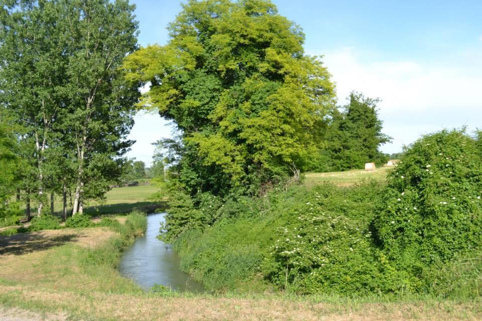 Agriturismo Il Campagnino Cremona Ngoại thất bức ảnh