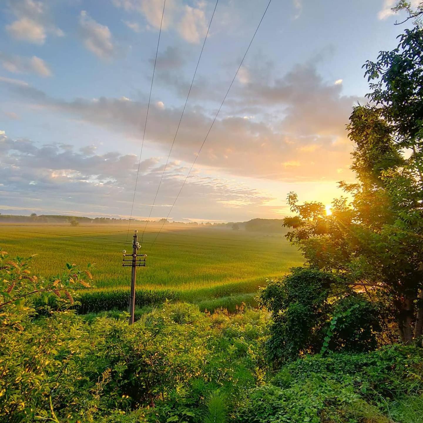 Agriturismo Il Campagnino Cremona Ngoại thất bức ảnh