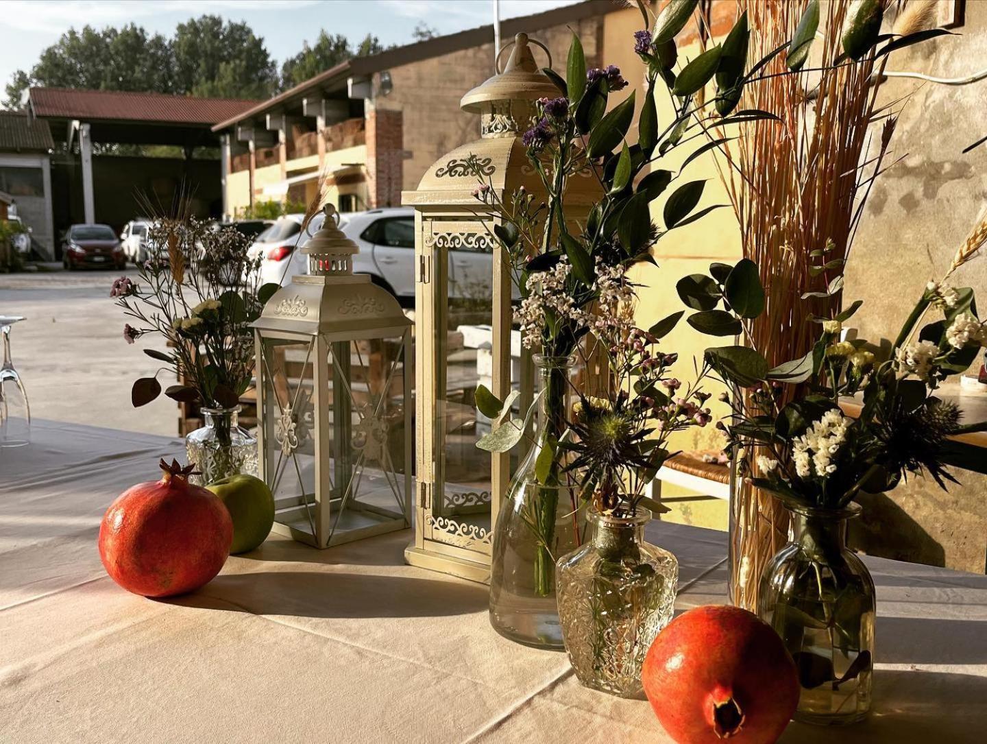 Agriturismo Il Campagnino Cremona Ngoại thất bức ảnh